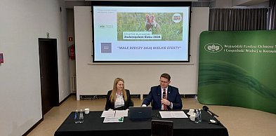 Tysiące wniosków, miliardy złotych dotacji. WFOŚiGW w Katowicach podsumował