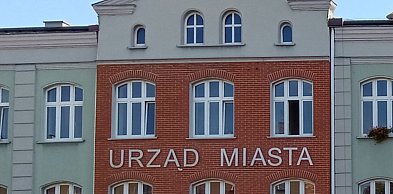 Plaga much w Piekarach Śląskich. Mieszkańcy alarmują: „Nie do wytrzymania”