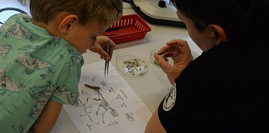 Nawet 10 tys. zł na lokalne inicjatywy ekologiczne