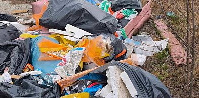 Tarnowskie Gór. Kto wyrzucił śmieci przy Zagórskiej?