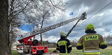 Powiat tarnogórski. Silny wiatr. Strażacy interweniowali kilkadziesiąt razy