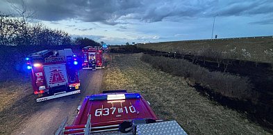 Pożar przy A1. W akcji siedem zastępów straży