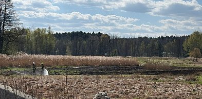 Pożar w Pniowcu. W akcji 7 zastępów straży pożarnej