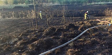 Znowu pożar sitowia w okolicy Pniowca i Strzybnicy