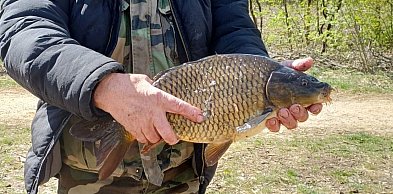 Tarnowskie Góry. Złowili ponad 53 kg ryb. Znamy zwycięzców zawodów PZW
