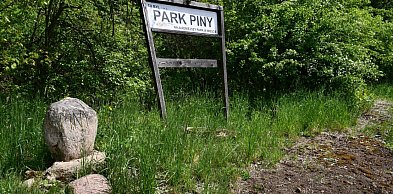 Co dalej z Parkiem Piny w Tarnowskich Górach? Radny pyta o rewitalizację