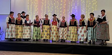 Powiat tarnogórski. 45 lat zespołu Brynica
