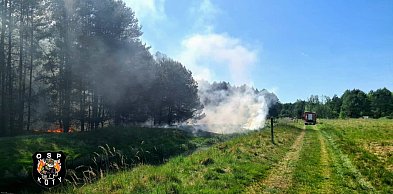 Tarnogórski. Pożar trawy i lasu. Do akcji skierowano śmigłowiec