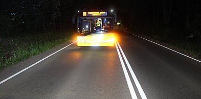Tarnowskie Góry. Kierowca autobusu hamował przed stadem dzików