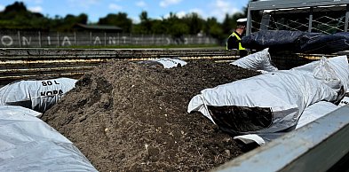 Recydywista z Piekar Śląskich wpadł w Bytomiu