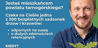 Tarnowskie Góry. Osada Jana. Będą rozdawać sadzonki drzew
