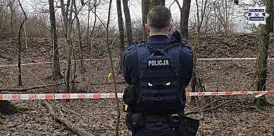 Niewybuch w parku Piny. Akcja policjantów i saperów-66690