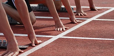 Rozpoczął się plebiscyt. Oddaj głos na swojego faworyta