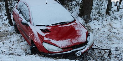 On staranował ogrodzenie, ona wjechała do rowu