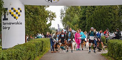 Podchody z psami nad zalewem Nakło-Chechło. Do soboty taniej