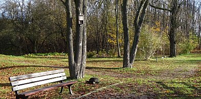 Radzionków. Tam już z psem nie wejdziecie