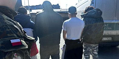 Nielegalna praca cudzoziemców w gminie Zbrosławice. Interweniowała Straż Graniczna