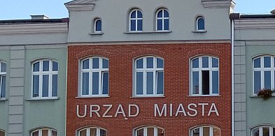 Plaga much w Piekarach Śląskich. Mieszkańcy alarmują: „Nie do wytrzymania”