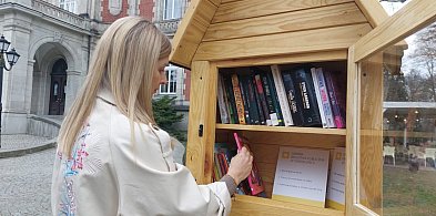 Uwalnianie książek w parku. Plenerowa biblioteka