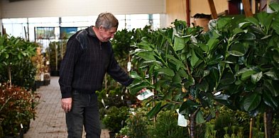 Kupione u Żurka, nowy dyrektor, budowa schronu. Podsumowanie