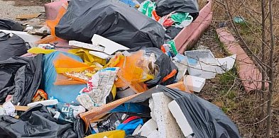Tarnowskie Gór. Kto wyrzucił śmieci przy Zagórskiej?