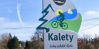 Nowe witacze w Kaletach. Podkreślają leśny charakter i stawiają na...