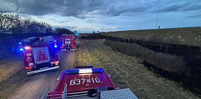 Pożar przy A1. W akcji siedem zastępów straży
