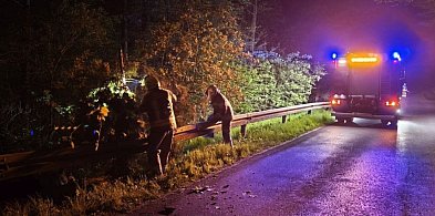 Droga, ciemności i powalone drzewo. Świadek wezwał straż i zabezpieczył...