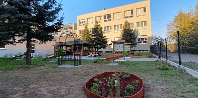 Szkoła z Tarnowskich Gór z "Zieloną synergią drzew"