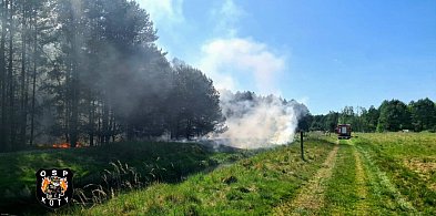 Tarnogórski. Pożar trawy i lasu. Do akcji skierowano śmigłowiec