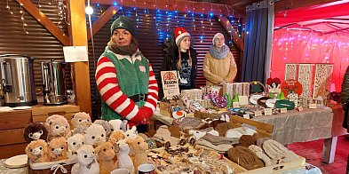 Kameralnie, z alpakami. Połomski jarmark-66645