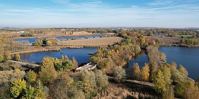 Nasypy kolejowe, hałda i jaskółki pod ochroną-67125