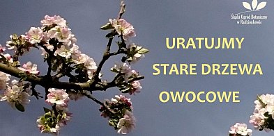 Śląski Ogród Botaniczny ratuje stare odmiany drzew