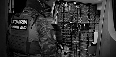 Nielegalni pracownicy w naszym powiecie