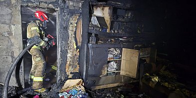 Nocny pożar  na ogródkach działkowych. Spłonęła altana