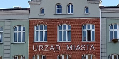 Plaga much w Piekarach Śląskich. Mieszkańcy alarmują: „Nie do wytrzymania”
