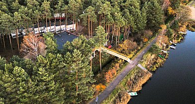 Nawet 300 tys. zł na rozwój firmy. Leśna Kraina Górnego Śląska zapowiada...