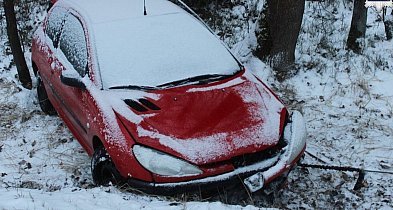 On staranował ogrodzenie, ona wjechała do rowu