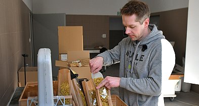 Rodzinna wytwórnia z tradycją. Nudle z Wojski