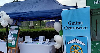 Powiat tarnogórski. Jest praca w urzędzie i gastronomii