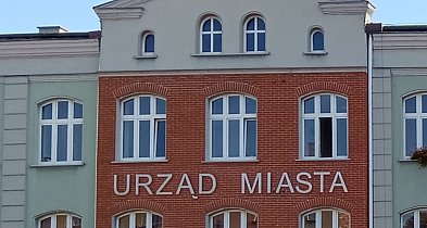Plaga much w Piekarach Śląskich. Mieszkańcy alarmują: „Nie do wytrzymania”