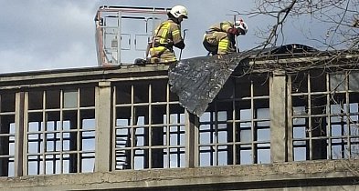 Interwencja strażaków na terenie byłych KZCP