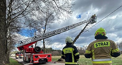 Powiat tarnogórski. Silny wiatr. Strażacy interweniowali kilkadziesiąt razy