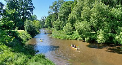Atrakcja wodno-przyrodnicza w regionie!