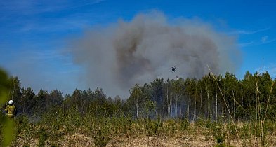 Walka z ogniem w regionie. Płonęło 15 hektarów lasu, w akcji samoloty i śmigłowce