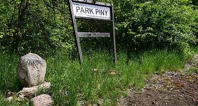 Co dalej z Parkiem Piny w Tarnowskich Górach? Radny pyta o rewitalizację