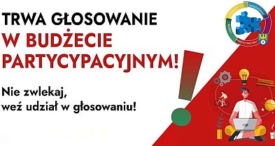 Budżet Partycypacyjny Powiatu Tarnogórskiego 2027: Rusza głosowanie online!