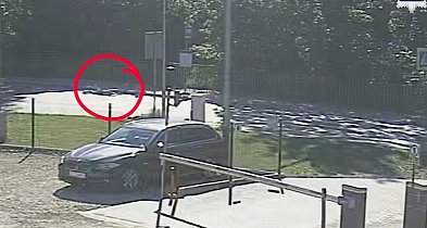 Świerklaniec. Potrącenie pieszej, kierowcy nie udzielili pomocy [FILM]