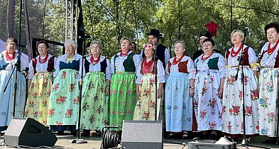 Ta Brynica piykno wieś! Muzyka, śląskie stroje i placki z zilberbronzą
