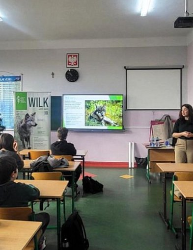 O wilkach w szkole w Piekarach Śląskich-67014